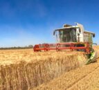 Mixed fortunes as NI crop yields and production estimates published