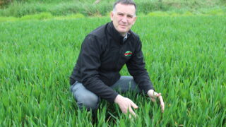 Rhynchosporium now present in winter barley crops