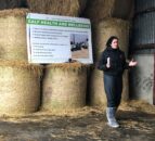 ‘Calf health is a good measure of calf welfare’ on farms