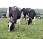 Grass growth fortunes turning as temperatures start to rise