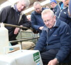 Northern sheep breeders call for Sheep Ireland style programme