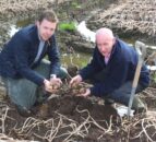 NI potato harvest: Unfinished business as up to 10% remains underground