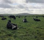 Some good weather on the horizon might present an opportunity to get out grazing