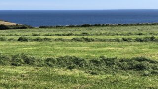 Farmer confidence at ‘all-time low’ in NFU survey