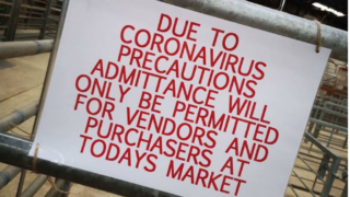 NI marts suspend operations amidst virus pandemic