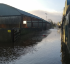 Farmers forced to evacuate 700 ewes following farmyard flooding