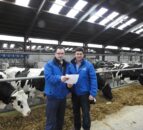 CAFRE cows to welcome visitors on dairy open days