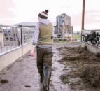Arla Foods: Labour shortage is putting national food security at risk