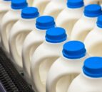 Dale Farm workers prepare to strike over pay