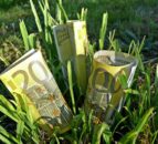 Farmers in the North should prepare for a ‘world without direct subsidies’