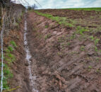 Farm Improvement Scheme will be crucial to Northern farmers – UFU