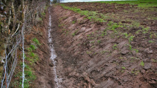 Farm Improvement Scheme will be crucial to Northern farmers – UFU