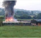 400 piglets and 32 sows killed in Co. Tyrone farm fire