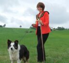 Dromore gears up for International Sheepdog Trial 2018