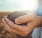 Get soil sampling this autumn
