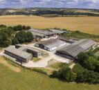 UK farmers told branding will combat cheap meat after Brexit