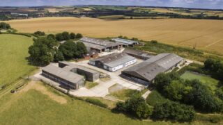UK farmers told branding will combat cheap meat after Brexit