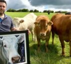 ‘Down’ on the farm – how one artist takes inspiration from the land