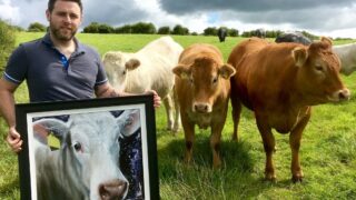 ‘Down’ on the farm – how one artist takes inspiration from the land
