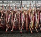 NI beef farmers encouraged to negotiate on prices