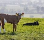 Farm research findings presented at recent conference