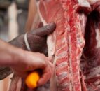 Cattle age deception in Northern Ireland costs farmers money