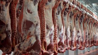UK’s approval to export beef to the Phillippines a ‘major boost’ for Northern Ireland