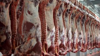 Factory kill charges cost farmers in the North £7.5m in 2016