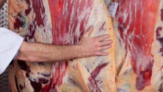 ‘Brazilian meat imports should be halted until the country cleans up its act completely’