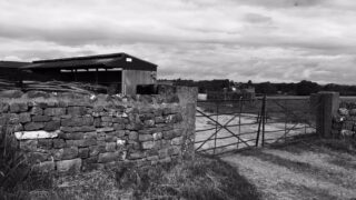 Farmer fined for numerous animal welfare offences