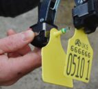 Failure to tag cattle leads to court conviction for one farmer