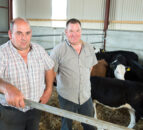 Countdown on to the NI Beef Expo – NI’s biggest technical beef event