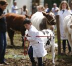 Vintage enthusiasts and show society get the royal nod