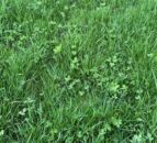 What causes bloat and how can it be avoided?