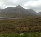 Landowner fined for damaging protected habitat