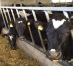 Calls for more testing for crypto on farms
