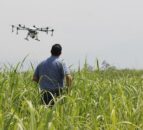 Drones, clean energy and precision: Plans for UK’s farming future