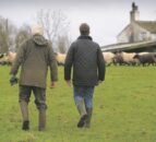 How land mobility could push farm productivity