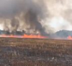 35ac of barley up in smoke due to suspected rubbish burning in Suffolk