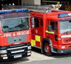 Firefighters called in to rescue cow stuck in water-filled ditch