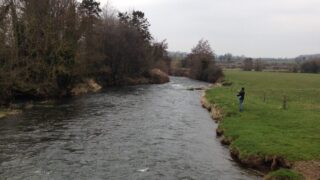 NI river water quality dipped slightly in last 3 years – DAERA