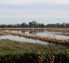 Farmers in the North hit by flooding to benefit from £1,000 relief