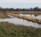 Farmers in the North urged to apply for flood relief