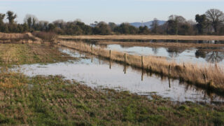 Farmers in the North urged to apply for flood relief