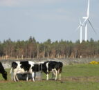 DARD to host on-farm renewable energy event
