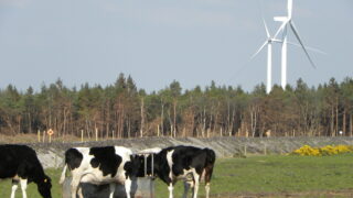 DARD to host on-farm renewable energy event
