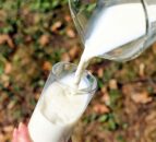 Farmers’ organisation slams vegan campaign