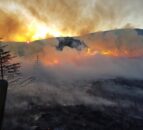 Majority of NI’s 2,200 gorse fires ‘started deliberately’