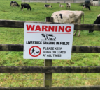 Dog owner prosecuted for second time in NI for ‘livestock worrying’