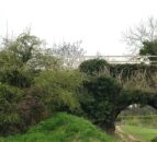 Farmers affected by greenways ‘not treated properly’